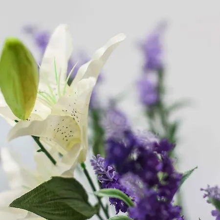 The West Coast בית הארחה ספליט