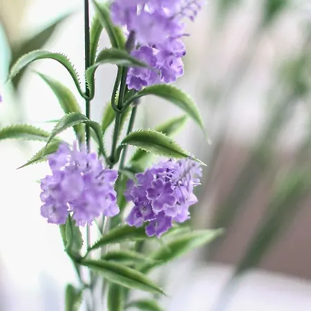 Pensión The West Coast